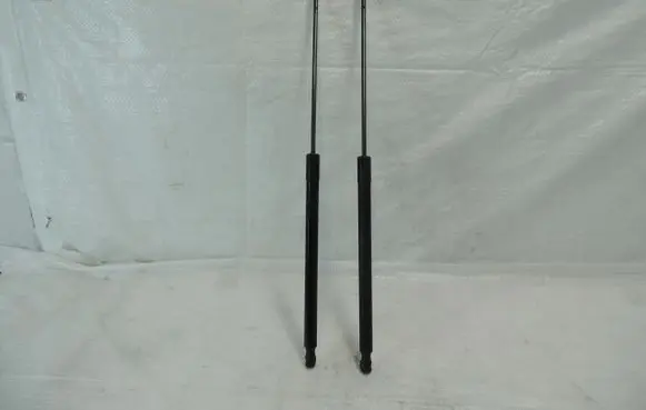 Tailgate strut