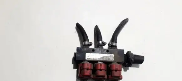 Chrysler Voyager LP gas injector 67r010104 110r000040