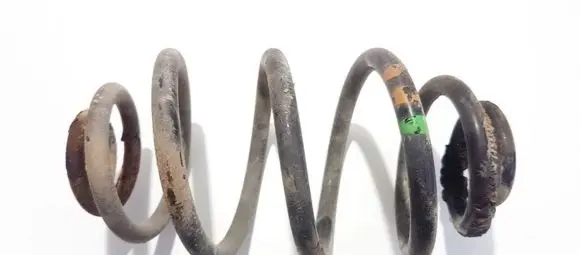 Volkswagen PASSAT B5 Rear coil spring
