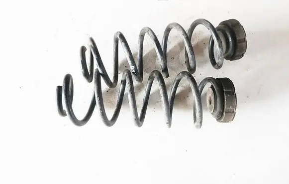 Rear coil spring