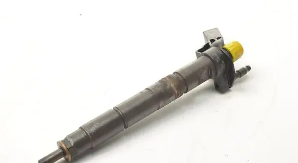 Opel Insignia A Fuel injector 55565209