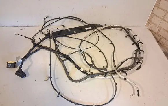 Other wiring loom