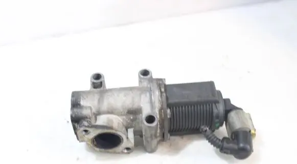 EGR valve
