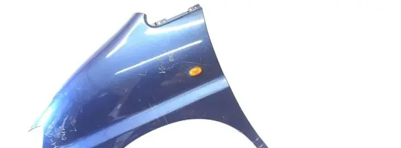 Hyundai H-1, Starex, Satellite Fender