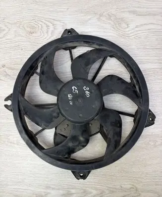Citroen C5 Electric radiator cooling fan 3000023