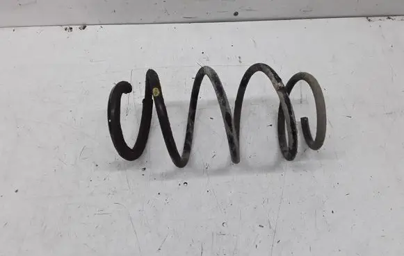 Front coil spring