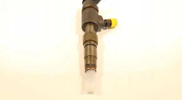 Citroen C3 Fuel injector 0445110339