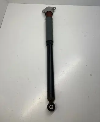 Ford B-MAX Rear shock absorber/damper AY1118159AA 06070116