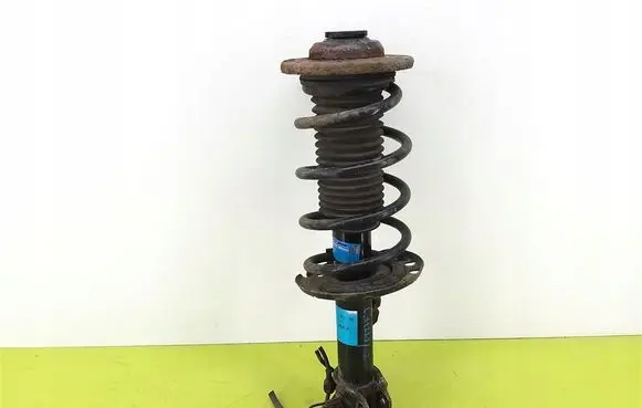 Opel Signum Front shock absorber with coil spring