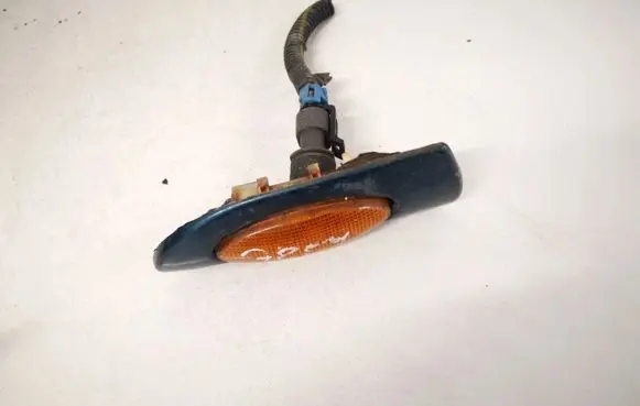 Front fender indicator light