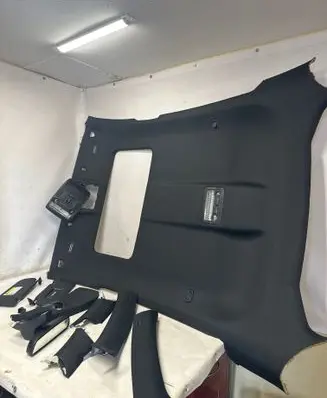 BMW X6 E71 Headlining 