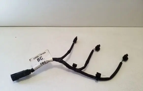Ford Ecosport Fuel injector wires CM5G9F666BC