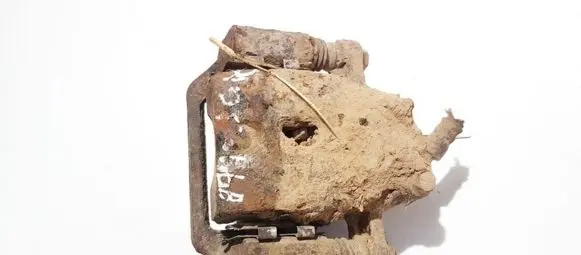 Rear brake caliper