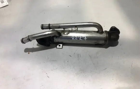 Volkswagen PASSAT B5.5 EGR valve cooler
