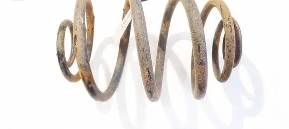 Rear coil spring
