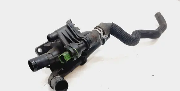 Thermostat/thermostat housing
