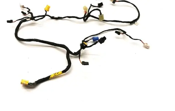 Tesla Model S Other wiring loom F181FPCAA01