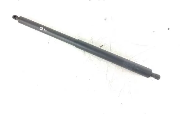 Tailgate/trunk strut/damper