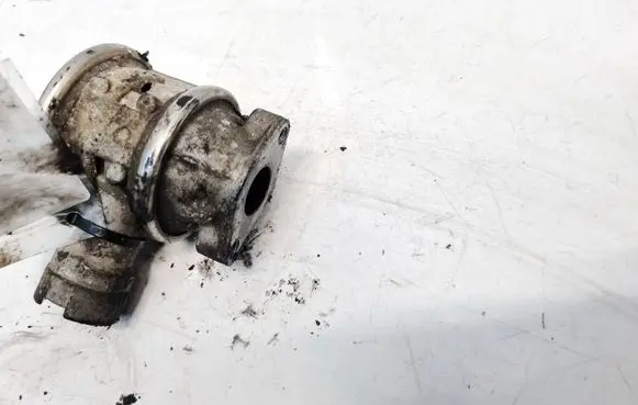 EGR valve