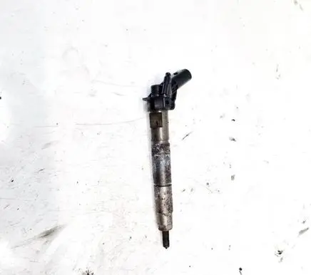 Mercedes-Benz CLS C219 Fuel injector a6420701387