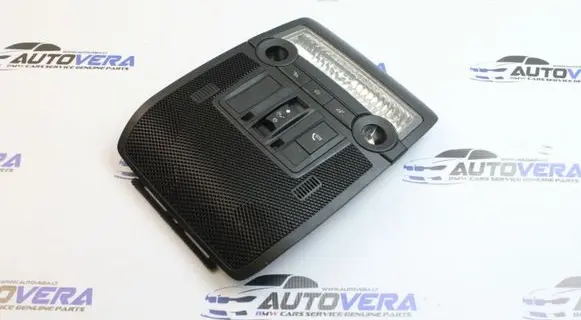 BMW X5 E70 Front seat light 9206609