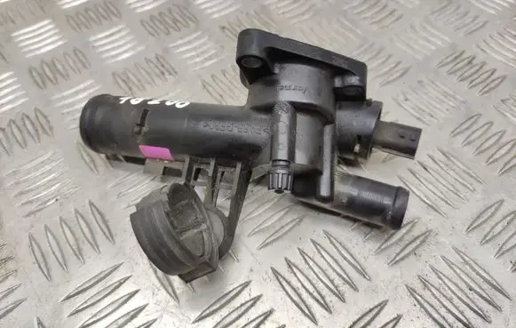 Thermostat/thermostat housing