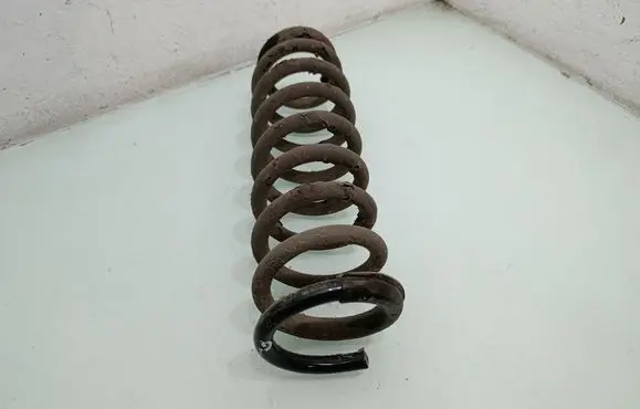Rear coil spring