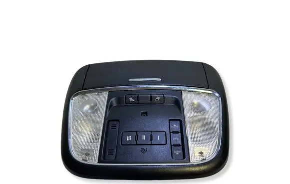 Dodge Charger Front seat light 20423100 PL43DX9 630843816