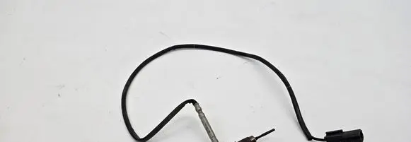 Renault Scenic III - Grand scenic III Exhaust gas temperature sensor 226401704R 009S060781