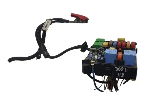 Peugeot 308 Other control units/modules 9804848580