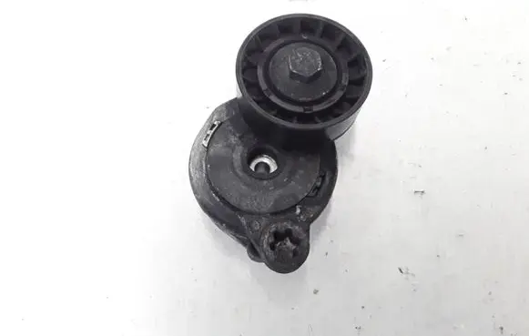 Volvo V60 Timing belt/chain tensioner 31330379