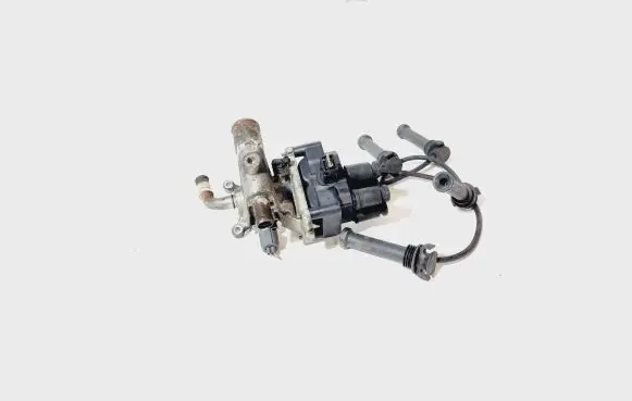 Thermostat/thermostat housing