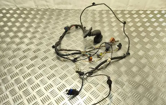 Renault Espace IV Front door wiring loom 8200517555