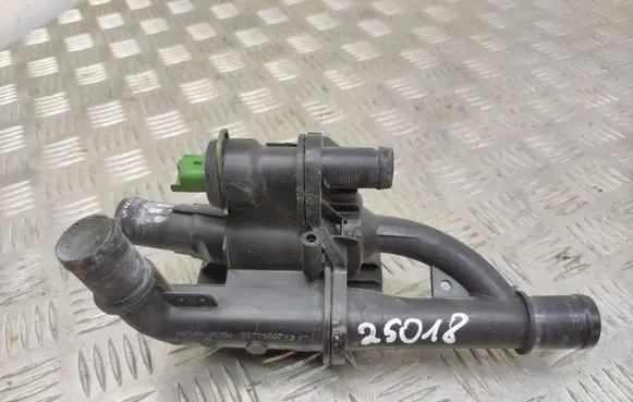 Thermostat/thermostat housing