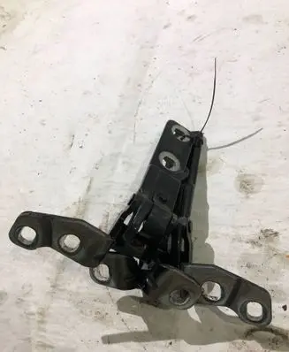 BMW X5 F15 Tailgate/trunk/boot hinge 7294433