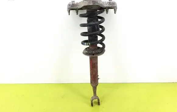 Front shock absorber with coil spring