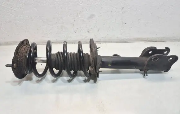 Hyundai Santa Fe Front shock absorber with coil spring 08407L
