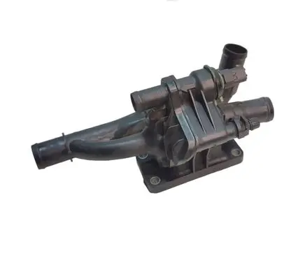 Thermostat/thermostat housing