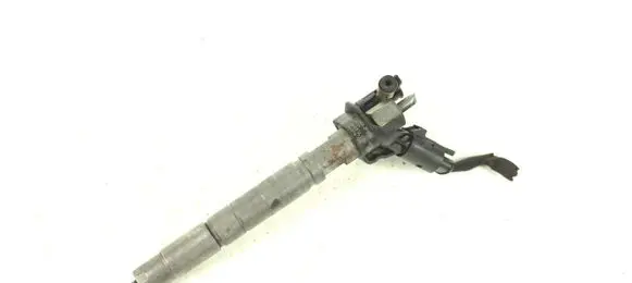 Hyundai Santa Fe Fuel injector 0445116018 338002F000