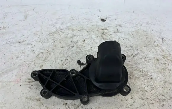 Thermostat/thermostat housing