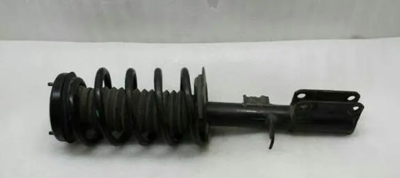 BMW X5 E53 Front shock absorber with coil spring 1096272