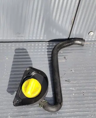 Renault Trafic III (X82) Oil filler cap 8200795333