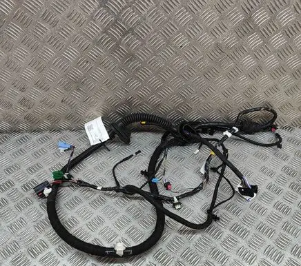 Tesla Model Y Front door wiring loom 148905202E