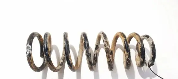 Hyundai Sonata Rear coil spring