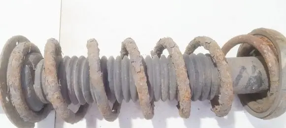 Honda Accord Rear coil spring
