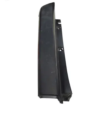 Rear/tail light trim molding