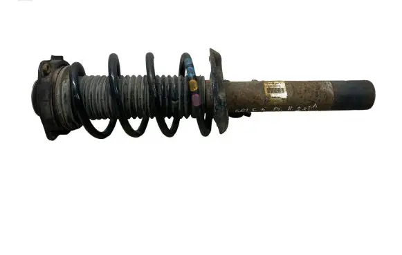 Volkswagen Golf V Front shock absorber/damper