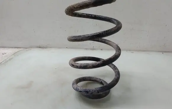 Renault Modus Rear coil spring 