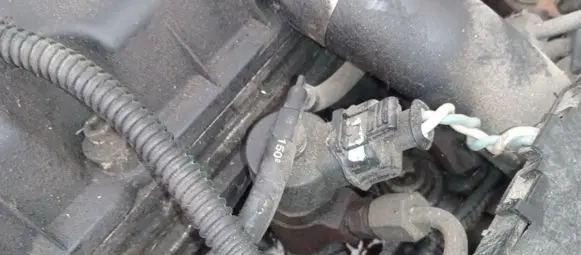 Peugeot 406 Fuel injector 0445110008 9635196580