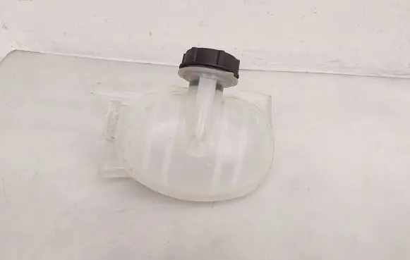 Ford Mustang Mach-E Coolant expansion tank/reservoir LJ938A080AB